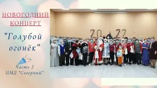Новогодний концерт 