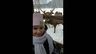 Оленья ферма 