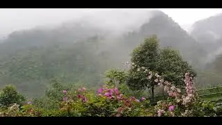 nice view at taman safari panda