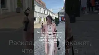 #taro