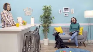 Purina Beyond Dog Food | Chewy