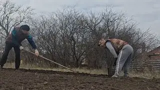 Посадили картофель. Жизнь в деревне.