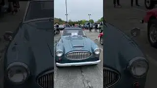 Austin Healey 3000 BJ8 Mk III’s #british #britishcars #donaldhealey #car #carlover #europe #class