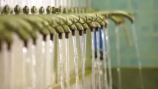 Water Purification Plants: How Do They Work?