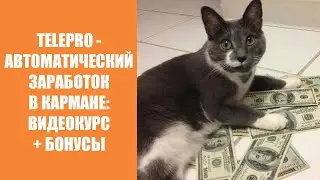 Заработок 1000 в день