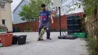 BACK SK8N