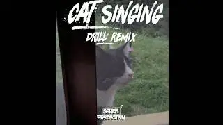 Cat Singing Drill Remix