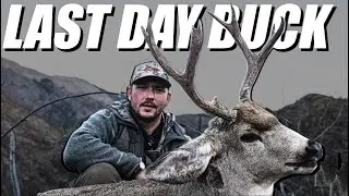 LAST DAY BUCK DOWN | MOUNTAIN MULE DEER HUNT | S1 E36 | ALPINE CARNIVORE