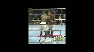 Greatest middleweight champions