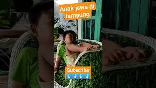 bocah nggedabrus