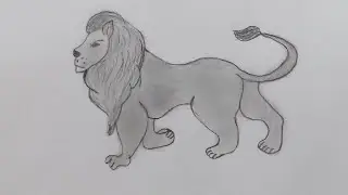 Kolay Aslan Resmi Çizme - Aslan Nasıl Çizilir? | Drawing A Lion