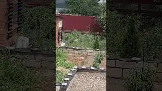 появился друг у царя