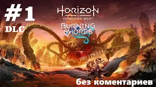 Horizon Forbidden West. DLC  Пылающие берега.  Прохождение #1 (без коментариев)