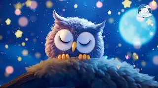 Deep Sleep Guaranteed in 5 Minutes: Relaxing Music to Fall Asleep Quickly