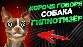 КОРОЧЕ ГОВОРЯ СОБАКА ГИПНОТИЗЁР