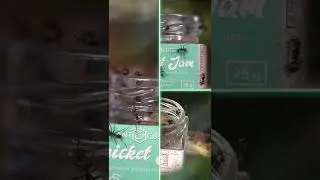 Unser neues Ergänzungsfutter! 