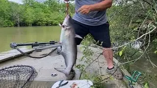 Limb Lines on flooded River / Tangled mess!