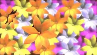 цветы