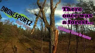 There once was a forest [FPV Quad Drönare]
