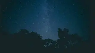 lo mejor de travis scott