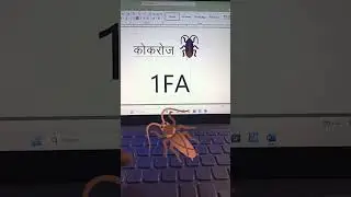 MS Word Symbol Code