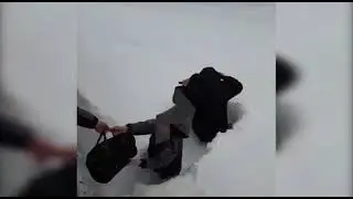 Рекордное Количество Снега Выпало в Краснодаре #shorts