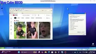 Kid Crying Has PSOD VM (Windows XP)