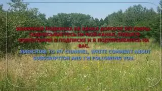 Взаимная подписка mutual sUBSCRIPTION