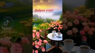 Доброе утро.