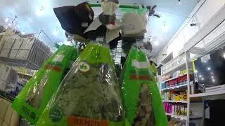Сокол.  Магазины - Сокол, Стекляшка, Сабрина, 39 Маркет, Комарова  23 октября 2023 г.