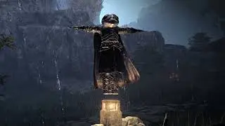 Beware of the T-pose tarnished (Elden Ring meme)