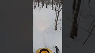 ящичная ловушка суас
