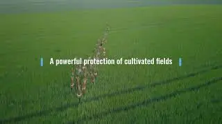 FLOX - How can drone technology protect your field?