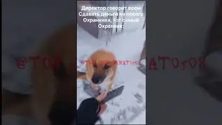 ХАХАХАХА! #тренды #рекомендации #tiktok #мем #мемы #собака #школа #а4клоун
