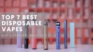 Top 7 Best Disposable Vapes of 2021 (Best Disposable Vapes)