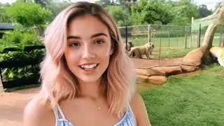 Walk at the zoo AI Generated