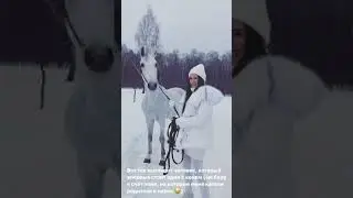 Костенко боится лошади