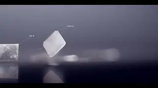 Altr Created Diamonds at Xennox Diamonds