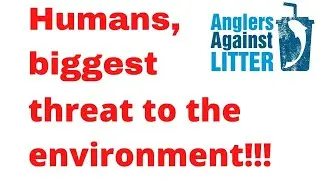 STOP killing our environment..........pick up your litter!!!