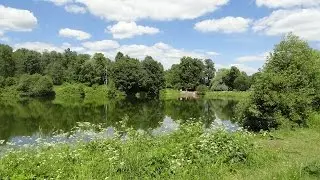 Мешковский пруд (пос. Московский)