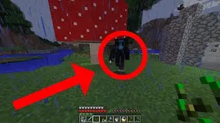 No Sleep came in my minecraft haunted world HELP ME