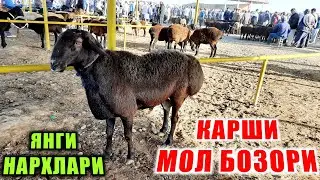 QASHQADARYO QARSHI MOL BOZORI NARXLARI 2021 КАРШИ МОЛ БОЗОРИ НАРХЛАРИ