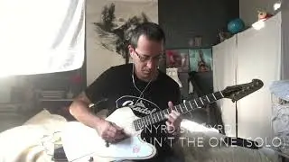 Lynyrd Skynyrd - I Ain’t The One (solo)
