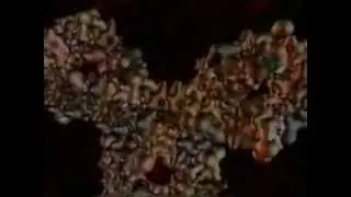 Раскрывая тайну жизни