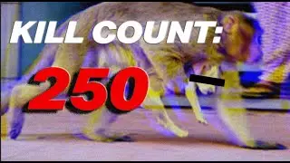 Times in History When Animals Committed Genocide