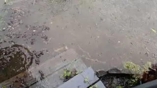 A river in front if my house