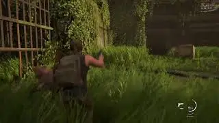 ДИЧЬ #3