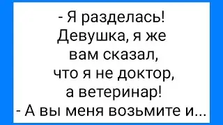 Барышня-Лошадь и Два Кавказца!!! Смешная Подборка Анекдотов!!!
