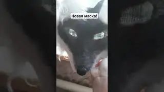 Еслебы я делала маски на заказ вы бы купили у меня маску?Спасибо за 89 рысят!