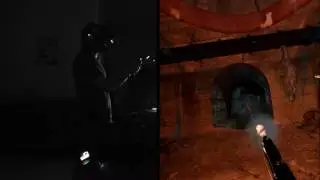 Let's Play The Brookhaven Experiment